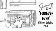 The Kitten Origins (3): Forever Ever