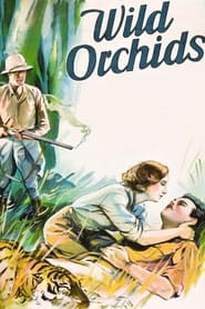 Poster Wilde Orchideen