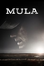 Image Mula (The Mule) (2018)