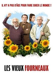 Film Les Vieux Fourneaux en streaming