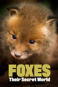 Foxes: Their Secret World постер