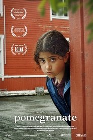 Poster Pomegranate 2017