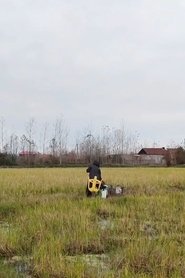 The Burden of Nature (field)