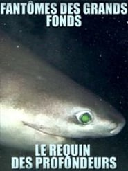 Fantômes des grands fonds – Requins des profondeurs streaming