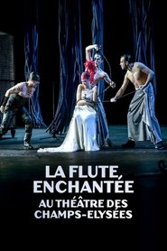 La flûte enchantée au Théâtre des Champs Elysées) La flûte enchantée au Théâtre des Champs Elysées (2024)