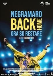 Poster Negramaro Back Home - Ora so restare