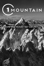 Poster 1 Mountain 2011