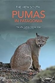 Poster Pumas in Patagonia