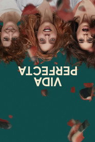 Perfect Life постер