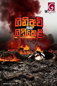 ගිනි අවි සහ ගිනි කෙළි