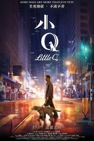 Little Q (2019)