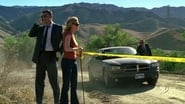 CSI: Crime Scene Investigation 7x13