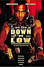 Poster On the Down 'n Low 2003