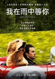 我在雨中等你 (2019)