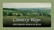 Spetisbury Rings in June