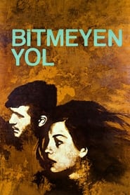 Poster Bitmeyen Yol