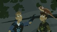 Episode 26