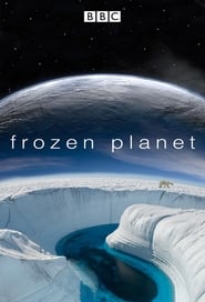 Frozen Planet poster