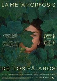 La metamorfosis de los pájaros poster