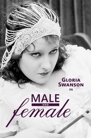 Male and Female 1919 映画 日本語字幕