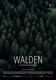 Walden постер