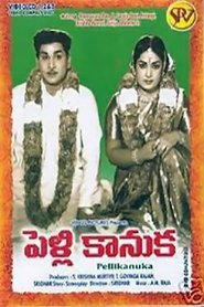 Poster Pelli Kanuka 1960