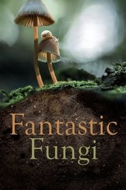 Fantastic Fungi 2019 Fantastic Fungi 2019