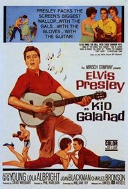 Kid Galahad plakat