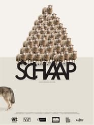 Poster Schaap