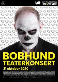 Poster BOBHUNDTEATERKONSERT