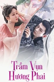 Trầm Vụn Hương Phai - Immortal Samsara