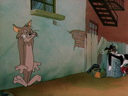 Jerry's Cousin