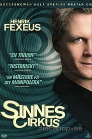 Poster Sinnescirkus 2011