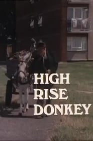 High Rise Donkey