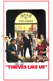 Thieves Like Us (1974) poster