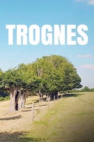 Trognes, les arbres aux mille visages (2019)