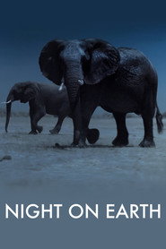 Night on Earth poster