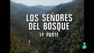 Lords of the forest I