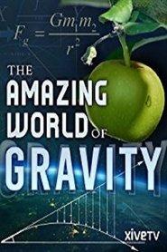 The Amazing World of Gravity