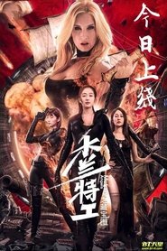 Poster 木兰特工之藏宝图