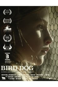 Poster Bird Dog