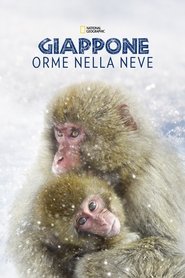 Giappone: Orme Nella Neve