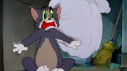 Fraidy Cat