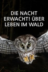 Die Nacht erwacht! Über Leben im Wald 2024 Бесплатан неограничен приступ