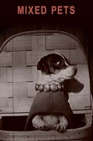 Poster Mixed Pets 1911
