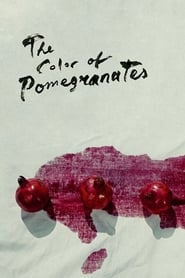 The Color of Pomegranates (1969) Blu-Ray 480, 720p & 1080p