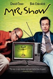 Mr. Show with Bob and David постер