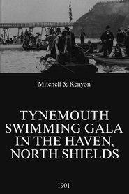 Tynemouth Swimming Gala in the Haven, North Shields