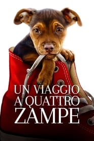 Un viaggio a quattro zampe dvd ita completo cinema movie ltadefinizione
->[720p]<- 2019