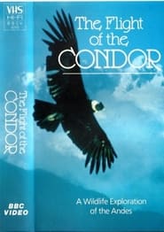 The Flight of the Condor streaming